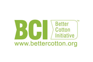 bci