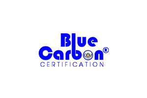 blue_carbonnn